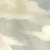:iconpetit-citrone: