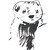 :iconpetit-lutin: