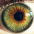 :iconpetit-mug: