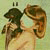 :iconpetitbird: