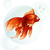 :iconpetitboudin76: