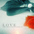 :iconpetite-libellule: