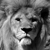 petnax :iconpetnax: