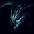 :iconpetone07: