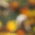 :iconpetreabogdan: