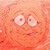 :iconpetshopman: