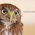 :iconpettite-doll:
