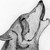 :iconpettye: