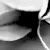 :iconpetum: