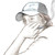 :iconpetuxxx: