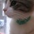 :iconpeymane: