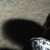 :iconpghbruce: