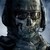 :iconpgvirus: