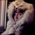 :iconph0t0-fr34k: