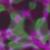 :iconph0t0-graphies: