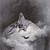 :iconph34rmaster04: