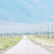 :iconphaedrus43: