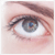 :iconphanisse: