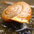 :iconphantescaping: