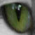 :iconphantescaping: