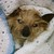 :iconphantom-sojourn: