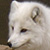 :iconphantom-stock-images: