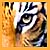 :iconphantom-tiger: