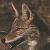 :iconphantomblade1: