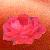 :iconphantomluver1021: