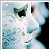 :iconphantommuse: