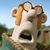 :iconphantomranch: