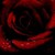 :iconphantomslady: