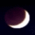 :iconphantomstar-wolf7: