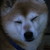 :iconpharsfu: