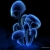 :iconphase170: