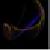:iconphasesofthemoon: