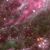 :iconphat-rhat: