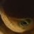 :iconphd-photography: