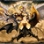 :iconphdnovadragon: