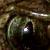 :iconPheba: