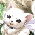 :iconpheertehcookie: