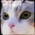 :iconphelddagrif: