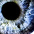 :iconphenomenological:
