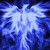:iconpheonix323294: