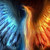 :iconpheonixbird46: