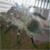 :iconpheonixdaimon: