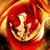 :iconpheonixfighter1: