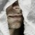 :iconphewgin: