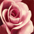 :iconphi1grim:
