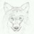 :iconphiatwings: